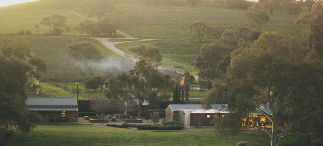 Hentley Farm vineyard